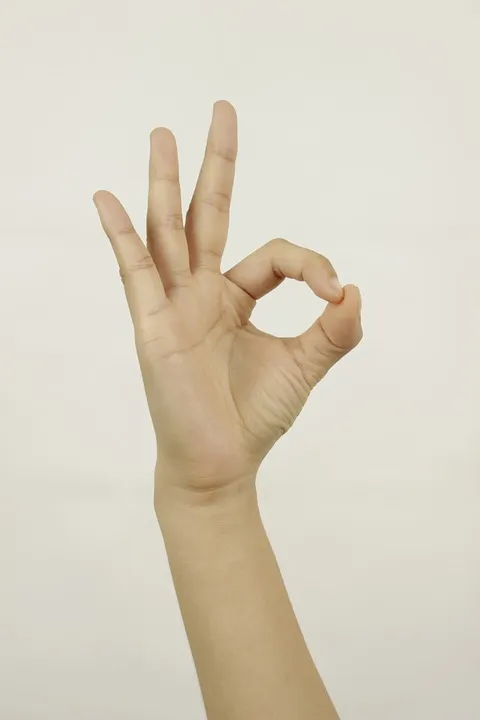 OK Hand Gesture